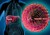 Thumb hepatites