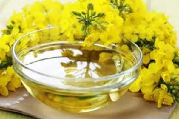 Large oleo de canola
